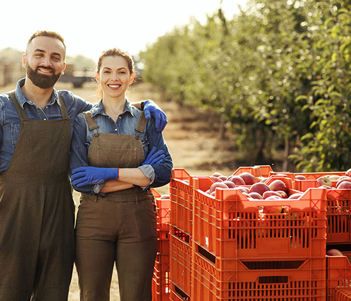 apple farmers